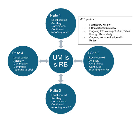 U-M as sIRB – Best Practice, Compliance and Quality – Human Research ...